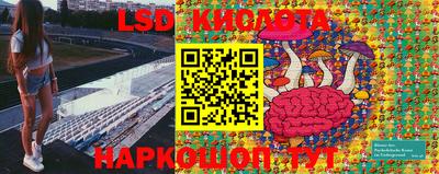 скорость mdpv Дубна