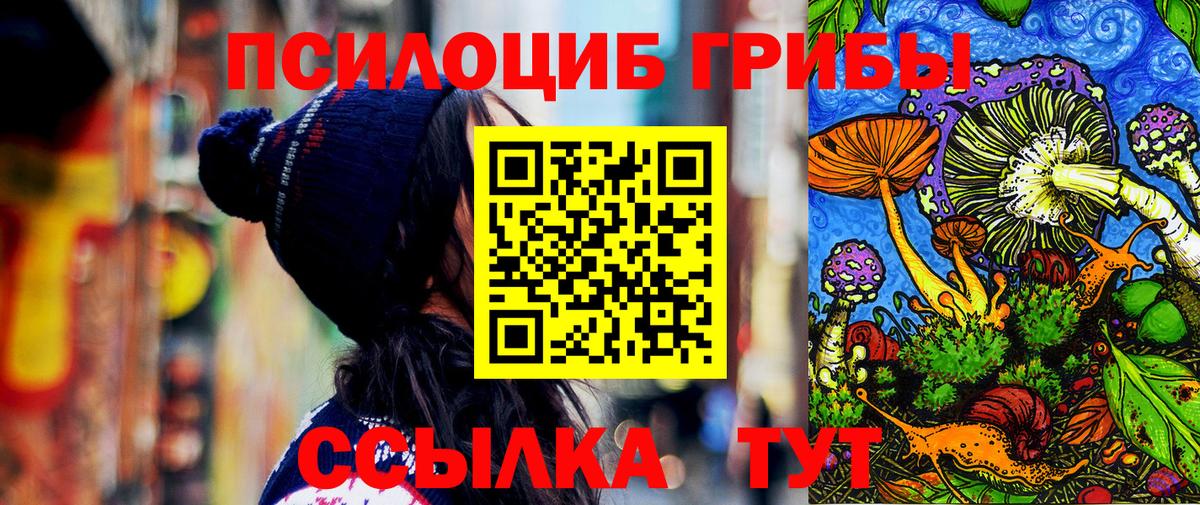 Псилоцибиновые грибы Psilocybe  Вход с VPN  Нижний Новгород  Псилоцибиновые грибы MAGIC MUSHROOMS 