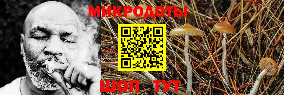 Псилоцибиновые грибы GOLDEN TEACHER Нижний Новгород
